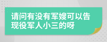 请问有没有军嫂可以告现役军人小三的呀