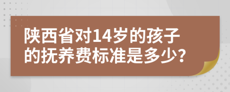 陕西省对14岁的孩子的抚养费标准是多少？