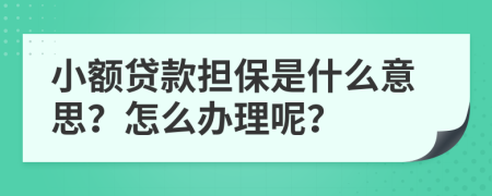 小额贷款担保是什么意思？怎么办理呢？