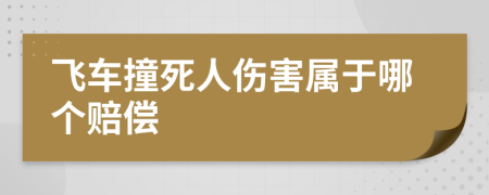 飞车撞死人伤害属于哪个赔偿