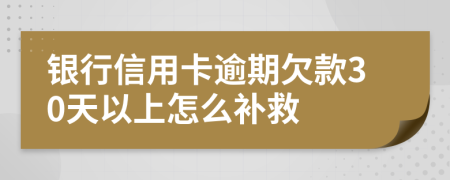 银行信用卡逾期欠款30天以上怎么补救