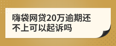 嗨袋网贷20万逾期还不上可以起诉吗