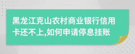 黑龙江克山农村商业银行信用卡还不上,如何申请停息挂账