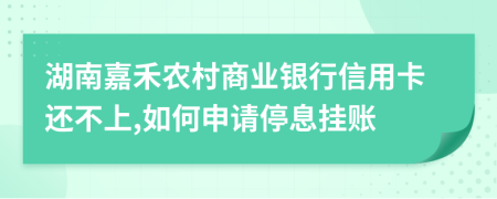 湖南嘉禾农村商业银行信用卡还不上,如何申请停息挂账