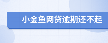 小金鱼网贷逾期还不起