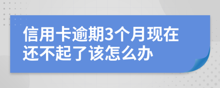 信用卡逾期3个月现在还不起了该怎么办