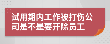 试用期内工作被打伤公司是不是要开除员工