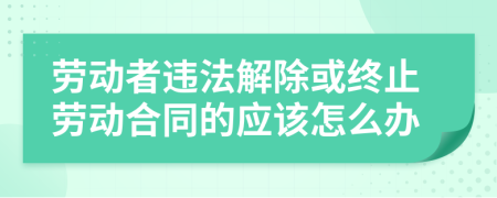 劳动者违法解除或终止劳动合同的应该怎么办