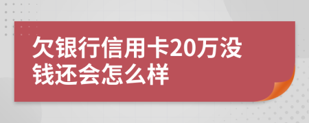 欠银行信用卡20万没钱还会怎么样