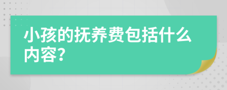 小孩的抚养费包括什么内容？