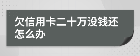 欠信用卡二十万没钱还怎么办