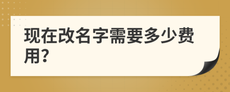 现在改名字需要多少费用？