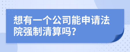 想有一个公司能申请法院强制清算吗？