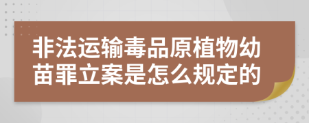 非法运输毒品原植物幼苗罪立案是怎么规定的