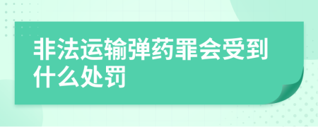 非法运输弹药罪会受到什么处罚