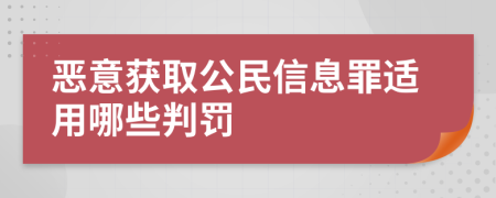 恶意获取公民信息罪适用哪些判罚