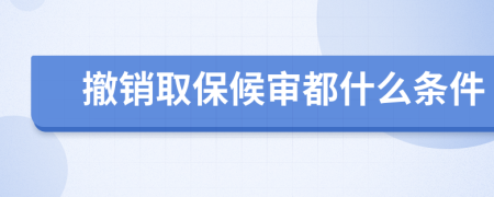 撤销取保候审都什么条件