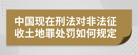 中国现在刑法对非法征收土地罪处罚如何规定