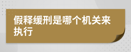 假释缓刑是哪个机关来执行