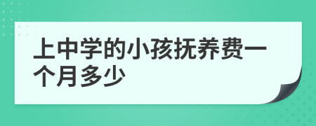 上中学的小孩抚养费一个月多少