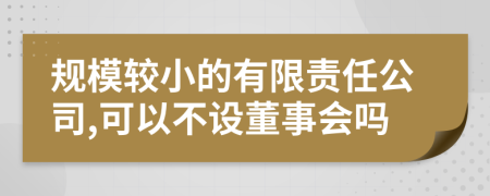 规模较小的有限责任公司,可以不设董事会吗
