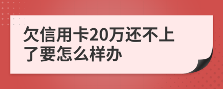 欠信用卡20万还不上了要怎么样办