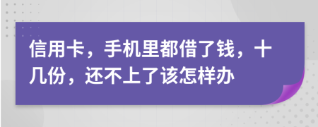 信用卡，手机里都借了钱，十几份，还不上了该怎样办