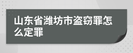 山东省潍坊市盗窃罪怎么定罪