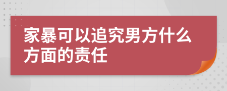 家暴可以追究男方什么方面的责任