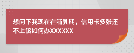 想问下我现在在哺乳期，信用卡多张还不上该如何办XXXXXX