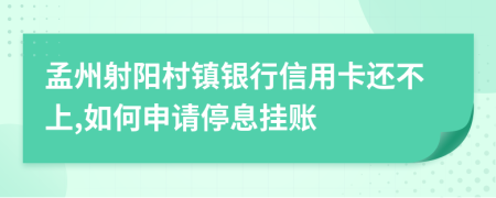 孟州射阳村镇银行信用卡还不上,如何申请停息挂账