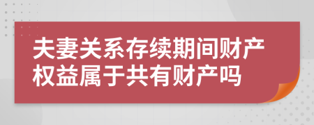 夫妻关系存续期间财产权益属于共有财产吗