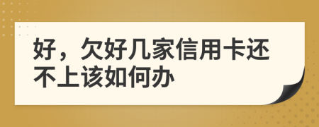 好，欠好几家信用卡还不上该如何办