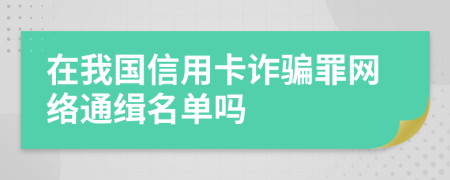 在我国信用卡诈骗罪网络通缉名单吗