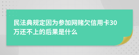 民法典规定因为参加网赌欠信用卡30万还不上的后果是什么