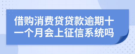 借购消费贷贷款逾期十一个月会上征信系统吗