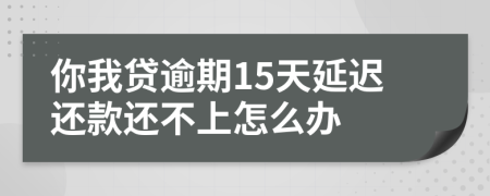 你我贷逾期15天延迟还款还不上怎么办