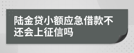 陆金贷小额应急借款不还会上征信吗