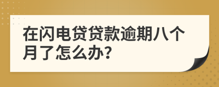 在闪电贷贷款逾期八个月了怎么办？