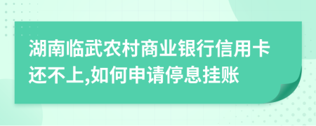 湖南临武农村商业银行信用卡还不上,如何申请停息挂账