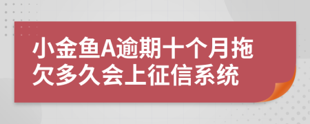 小金鱼A逾期十个月拖欠多久会上征信系统