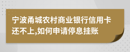 宁波甬城农村商业银行信用卡还不上,如何申请停息挂账