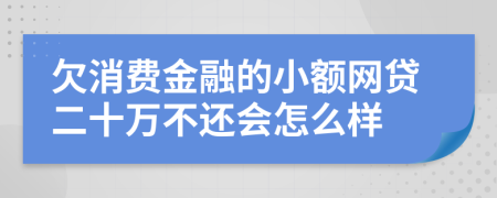 欠消费金融的小额网贷二十万不还会怎么样