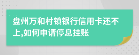 盘州万和村镇银行信用卡还不上,如何申请停息挂账