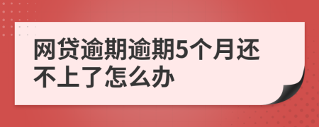 网贷逾期逾期5个月还不上了怎么办