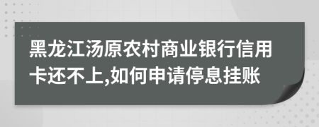 黑龙江汤原农村商业银行信用卡还不上,如何申请停息挂账