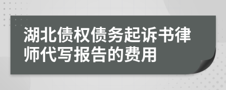 湖北债权债务起诉书律师代写报告的费用