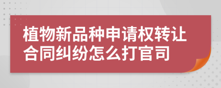 植物新品种申请权转让合同纠纷怎么打官司