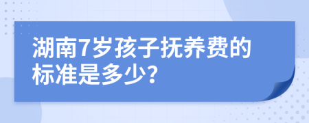 湖南7岁孩子抚养费的标准是多少？