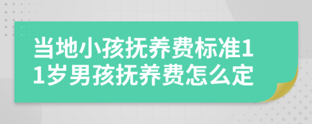 当地小孩抚养费标准11岁男孩抚养费怎么定